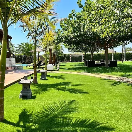 El Paraiso En Agost *